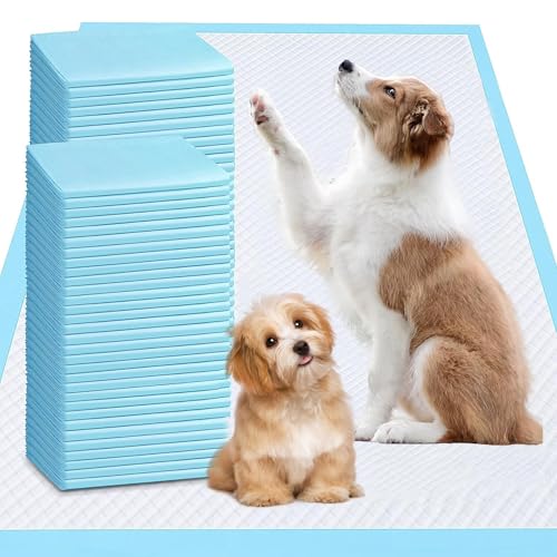 Image of Puppy Pads Extra Large Dog Pee Pads 23 inchx35 inch40 Count Puppy Pee Training Pads Super Absorbent Pee Pads for Dogs & Leak-Proof Dog Pads Disposable Pet Piddle and Potty Pads for Puppies Dogs