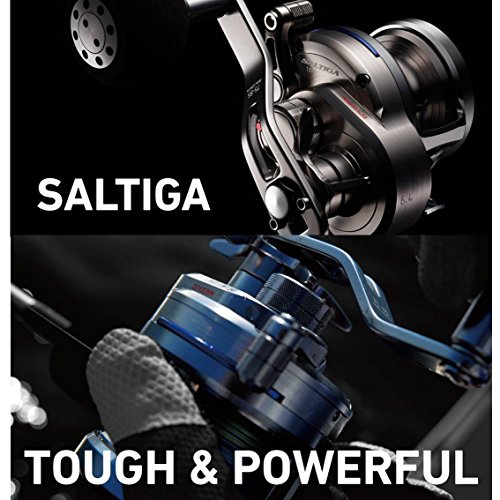 ダイワ(DAIWA) ベイトリール 15 ソルティガ 10H (2015モデル) 2枚目