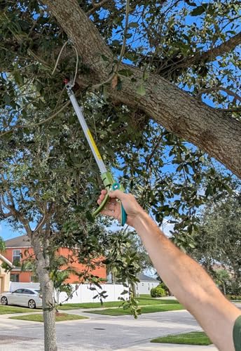 Podador de árbol con pértiga ligera de 32 pulgadas miniatura 6