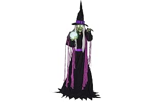 Haunted Hill Farm 6-Ft. Fortune Teller Witch