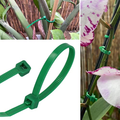 GARDENIX Fascette per piante, 100 pezzi (4,8 mm x 160 mm, verde) riutilizzabili, regolabili