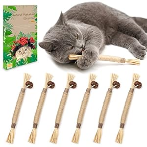 Wiswelry 6 Packs Natural Matatabi Silvervine Chew Sticks, Natural Cat Teeth Nip Cleaning Catnip Toys for Indoor Kitten Teething and Stress