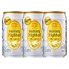 Buy Kaku Highball Whisky Soda 350ml - Enjoy a Smooth, Refreshing Japanese Whisky Cocktail with 7% Alc/Vol – Starry Mart