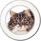 GroÃŸ fÃ¼r ein Weihnachtsgeschenk oder Geburtstagsgeschenk