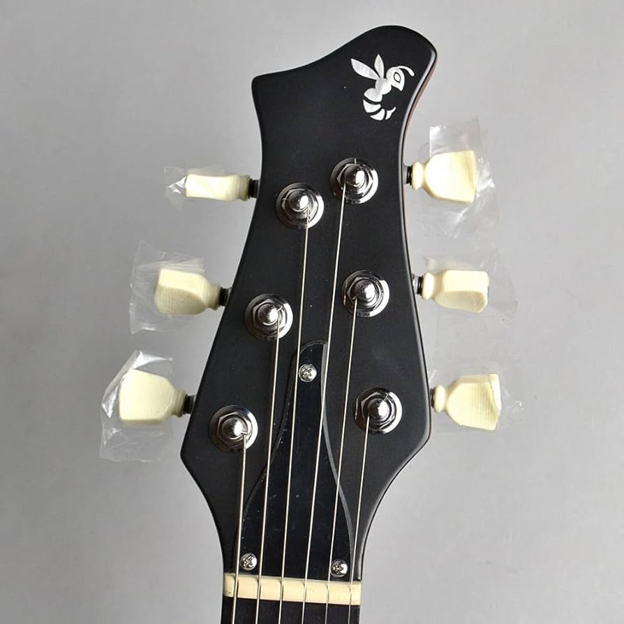 ryoga hornet lec gbk エレキギター 20220122-hornet2.jpg