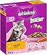 Whiskas Junior Trockenfutter Huhn, 5x800g (5 Packungen) - für heranwachsende Katzen - Extra kleine Kibbles für Kätzchen (2-12 Monate) - unterschiedliche Produktverpackungen erhältlich