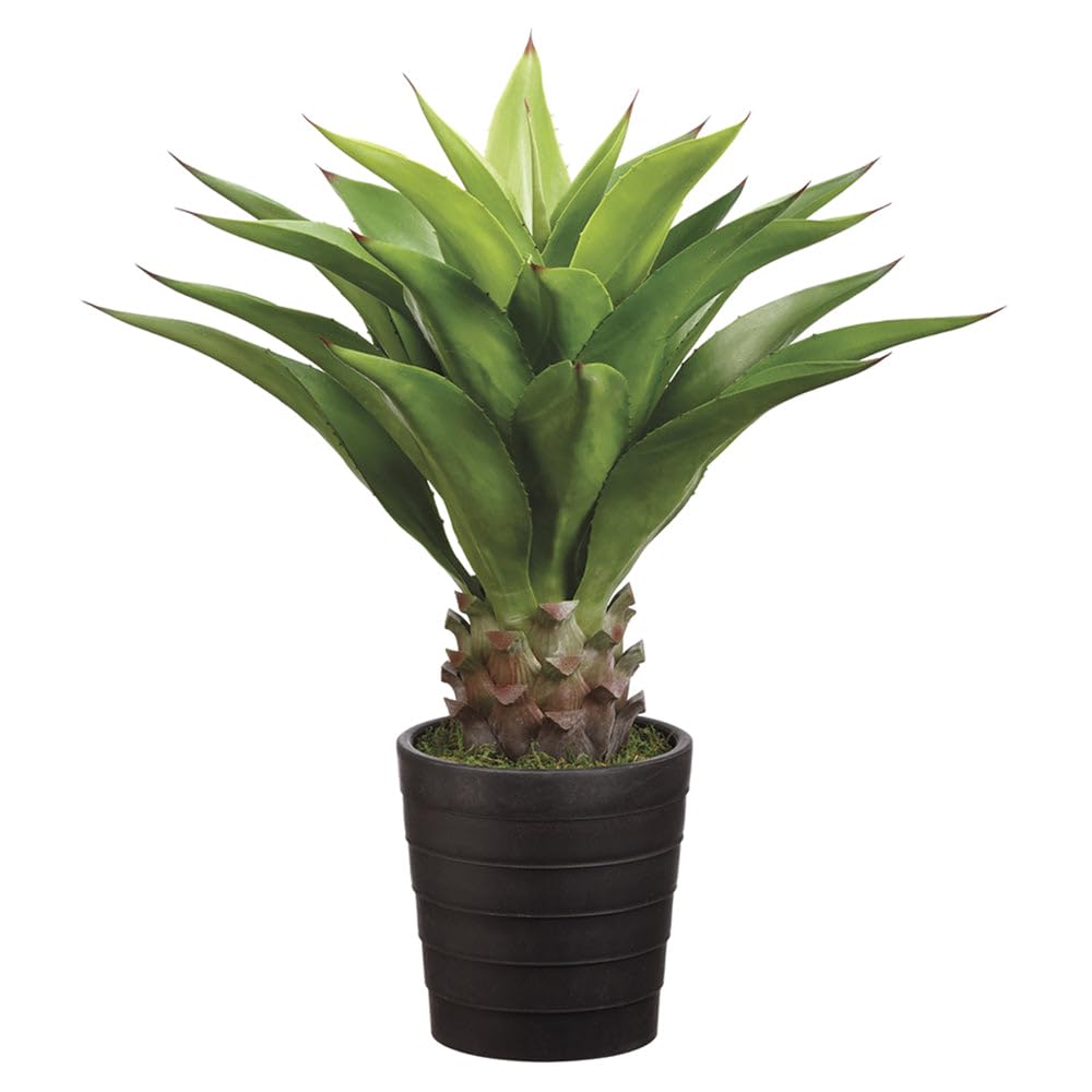 SilksAreForever Agave Attenuata: Plante Artificielle Réaliste avec Pot (81cm) - Image secondaire