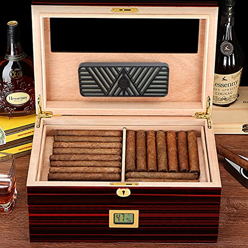 Scotte Cigar Humidor Humidifier GoTinySpace