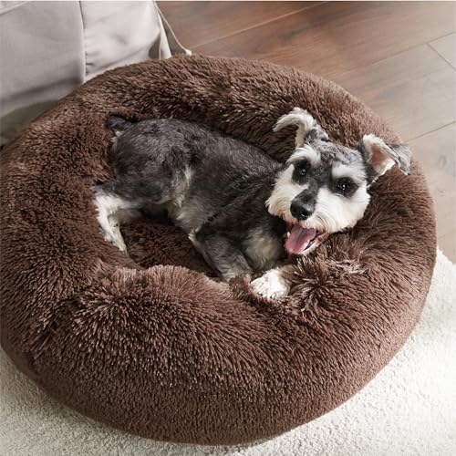 Image of Bedsure Calming Dog Bed for Small Medium Dogs - Donut Washable Medium Pet Bed, 27 inches Anti-Slip Round Fluffy Plush Faux Fur Cat Bed, Coffee