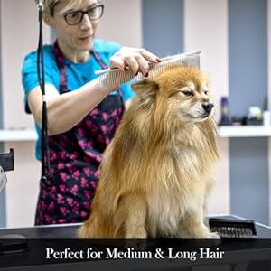 Professional Dog Grooming Scissors Kit Safety Round Tip with Dog Nail Clippers Stainless Steel Comb Thinning Scissors Curved Scissors Straight Scissors 6 in 1 Pet Grooming Set for Dogs Hair Care