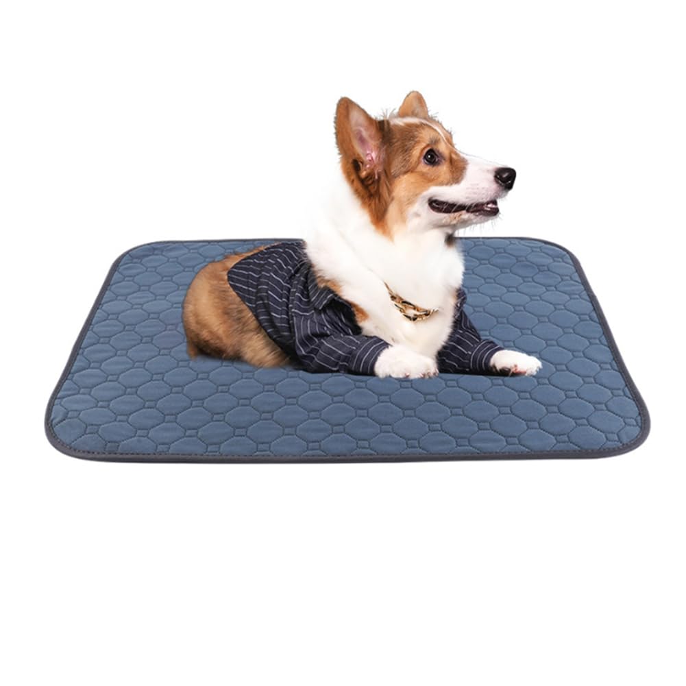 Perro Estera De Enfriamiento, 132 X 91cm, Enfriamiento Manta De Perro, Estera De Enfriamiento, Aire De Perros Acondicionamiento, Lavado De Mascotas Manta De Enfriamiento Para Mat, Inter(Size:91x132cm)