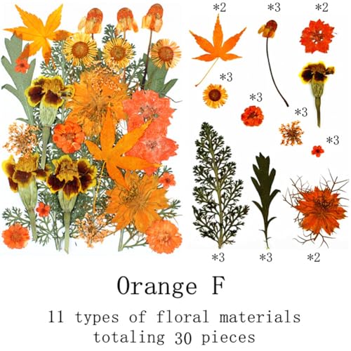 30 flores secas prensadas naranjas para manualidades miniatura 2