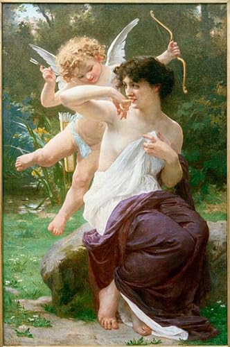 Impression toile échidné à nez court Raimundo Petraroja art portrait premium