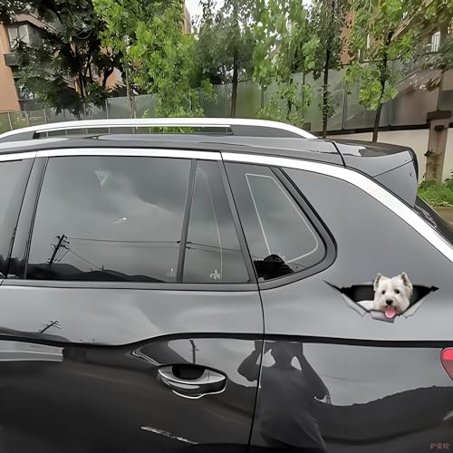 Autoaufkleber West Highland White Terrier Aufkleber 15cm(5.9 Inch) West Highland White Terrier 3D Zerrissen Reflektierende Aufkleber Haustier Hund Lustig Aufkleber Personalisiert Lustig Dekor