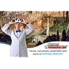 51mqr6g4udl - Bill Nye's VR Science Kit - Virtual Reality Kids Science Kit, Book and Interactive STEM Learning Activity Set (Full Version - Includes Goggles)