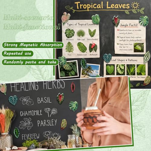 Imanes decorativos hoja para refrigerador 18 pzas miniatura 5