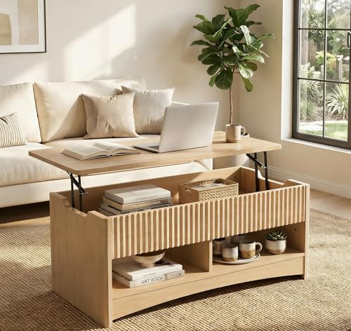 Marsail Lift Top Coffee Table with Open & Hidden...