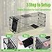 Humane Way Folding 32 Inch Live Humane Animal Trap - Safe Traps for All Animals - Raccoons, Cats, Groundhogs, Opossums - 32