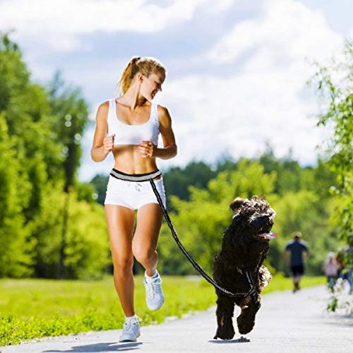 Correia refletiva para cães da Besportble, 5 peças, corda de chumbo para animais de estimação resist