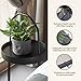 Bigso Box of Sweden Soft Hang Around Hanging Storage Basket Small | For Organizing Everyday Necessities | Collapsible Wall Hanging Storage Basket for Closets | 6.7