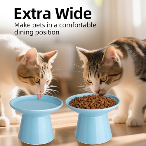 Gamelle surélevée céramique extra large design ergonomique chat - 4