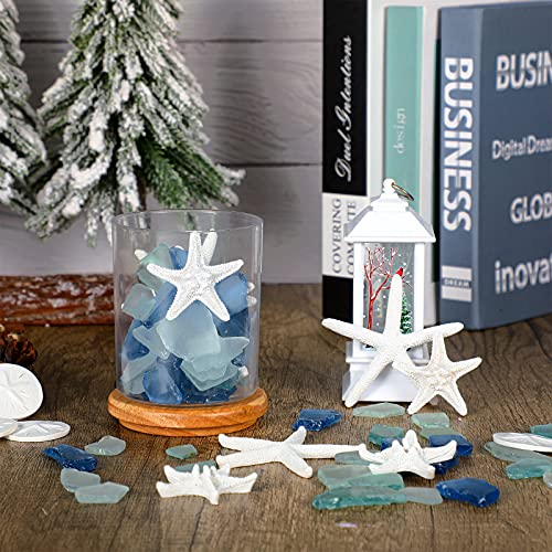 Blulu 5.3 oz Sea Glass Decor for Crafts Frosted Blue Seaglass Pieces and 12 Pcs Resin Assorted Starfish Sand Dollar Ornament Beach Starfish for Beach Wedding Party Decor Home DIY Craft - Image 6