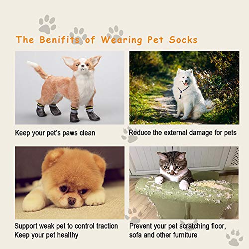 dog booties to prevent scratching