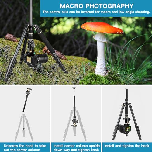 Image of Professional DSLR Tripod for Photography - Tall, Lightweight & Heavy Duty - Spotting Scopes, Telescope & Binoculars - Compact Complete Tripod Unit