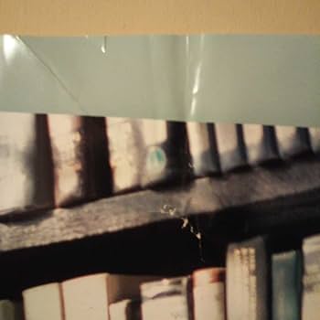 【限定】細野晴臣 ツインピークス ポスター 限定】細野晴臣 ツインピークス ポスター