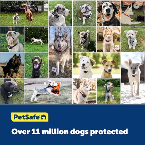 PetSafe In-Ground Fence Boundary Wire, 20-Gauge, 500 ft - image 6