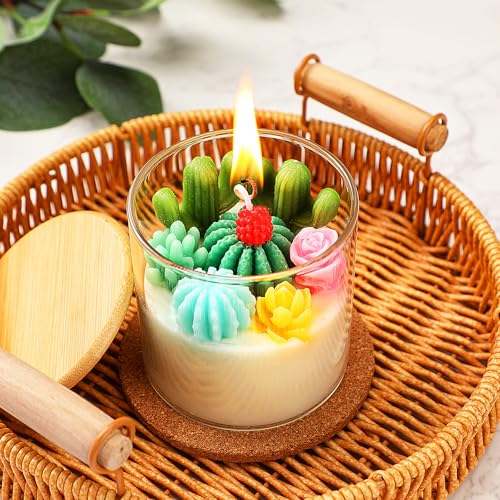 Tondiamo Succulent Cactus Candles Gift, 3.15 Inch Scented Decorative Terrarium