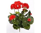 El geranio es una típica planta de balcón y interior. El geranio artificial es de aprox. 30 cm de alto y se entrega sin maceta.