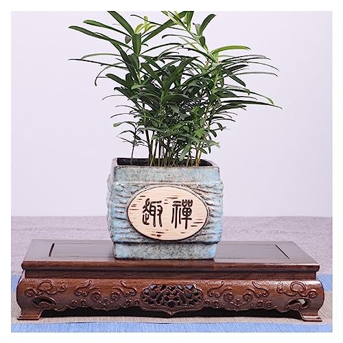 Base en bois pour théière et grand support rectangulaire de décoration intérieure - 5