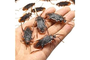 Prank Fake Roaches: Hilarious Trick Toys for Parties, Pranks, and Halloween Antics