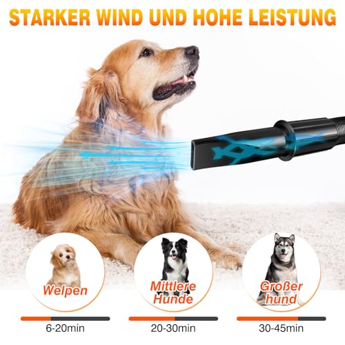 3500W Hundefön Blower Sehr Leise Tierhaartrockner Blower Hundefön Einstellbare Geschwindigkeit mit 4 Düsen Pet Dryer Fön für Haustiere Haustier Hundepflege Trockner Hundetrockner Gebläse für Hunde