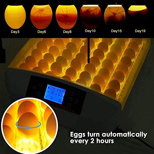 Sailnovo 55 Eier Brutmaschine Vollautomatisch, Brutapparat Eier Inkubator mit LED Light Feuchtigkeits Temperaturanzeige… – Bild 5