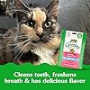 Greenies Feline Adult Dental Cat Treats, Savory Salmon Flavor, 2.1 oz. Pack #2