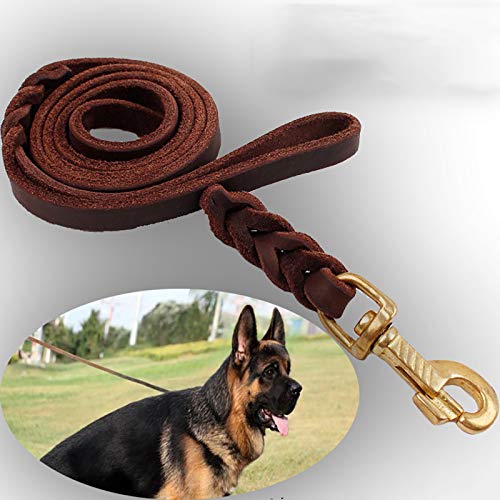 Laisse en cuir pour chien robuste pour stopper les tractions sans douleur - 5