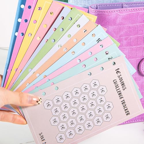 48 Blatt A6 Binder Budget Planner Zubehör 100 Envelope Challenge Haushaltsbuch Geld Sparen Mappe Sparchallenge Budgetplaner Umschlagmethode Sparbuch für Geld 5000 Euro Finanzplaner Haushaltsplaner