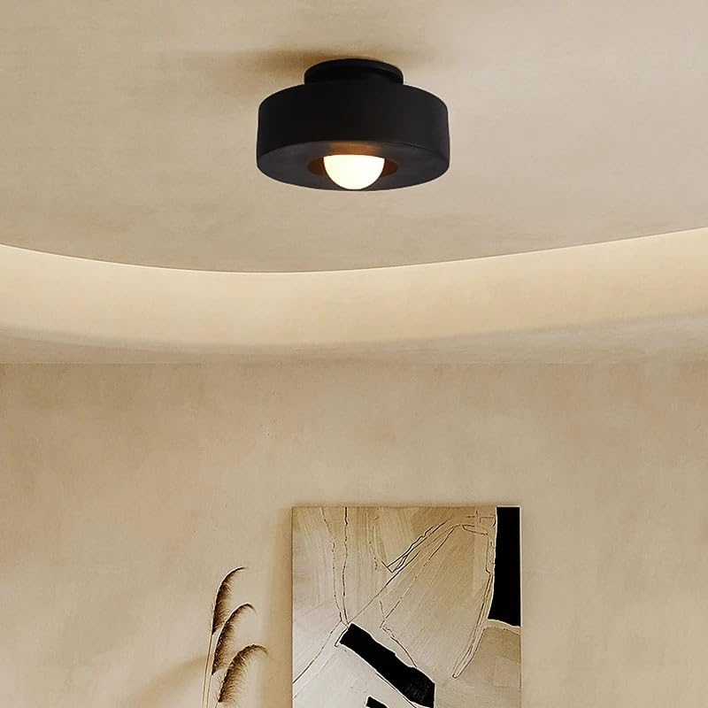 Plafonnier minimaliste nordique noir pour sublimer l'ambiance de votre couloir et vestiaire design