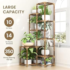 HOMKIRT Tall Corner Plant Stand with Grow Lights, Plant Shelf Indoor for Multiple Plants, Wood Plant Ladder Rack Holder Display Flower Stand for Living Room Balcony HOMKIRT Tall Corner Plant Stand with Grow Lights Plant Shelf Indoor for Multiple Plants Wood Plant Ladder Rack Holder Display Flower Stand for Living Room Balcony