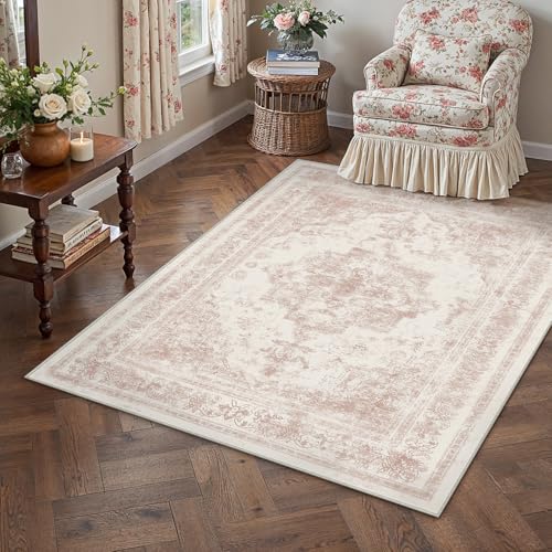Area Rug 3x5 Washable Pink Rug Vintage Boho Medallion Entryway Door Mat Entrance Distressed Retro Carpet Non Slip Low Pile Small Soft for Office Kitchen Bedroom Laundry Bathroom Hallway
