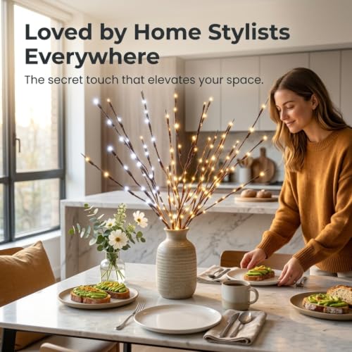Image of DK177 1Pack Warmlight + 1Pack Whitelight Led Branch Light Battery Operated Lighted Branch Vase Filler Willow Tree Artificial Little Twig Power Brown 30 Inch 20 LED for Home Decoration