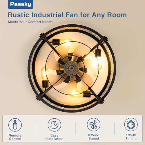 Image of Passky 20 Inch Farmhouse Caged Ceiling Fans with Lights and Remote, Black Downrod Mount Bladeless Fandelier, 6 Speeds Bladeless Ceiling Fan Light for Bedroom, Kitchen, Living Room, Indoor