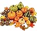 Toopify Artificial Pumpkins and Gourds, 13PCS Assorted Lifelike Pumpkins, Artificial Vegetables for Decorating Fall Craft Thanksgiving Wedding Centerpieces