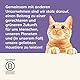 Applaws 100% natürlicher, getreidefreier, cremiger, leckbarer Snack für Katzen und Kätzchen, 32 x 15g Sachets