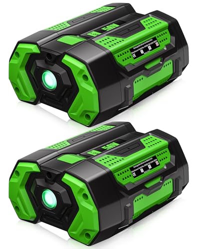 Image of 2Pack 56V Battery 5.0Ah Replacement for EGO 56V Battery with LED Indicator