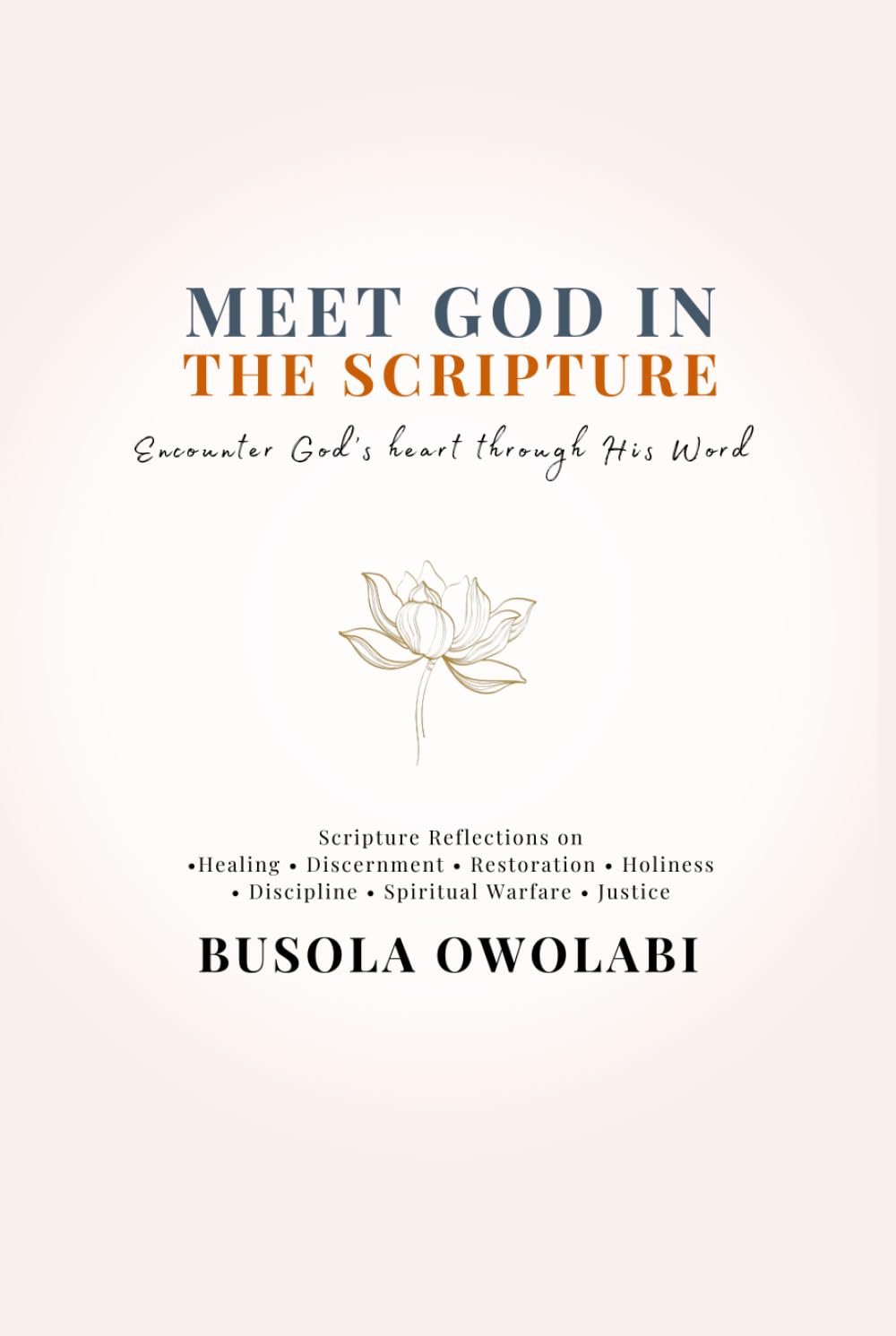 Meet God in the Scripture: Scripture Reflection on Healing, Discernment, Restoration, Discipline, God’s Justice, Holiness & Spiritual Warfare