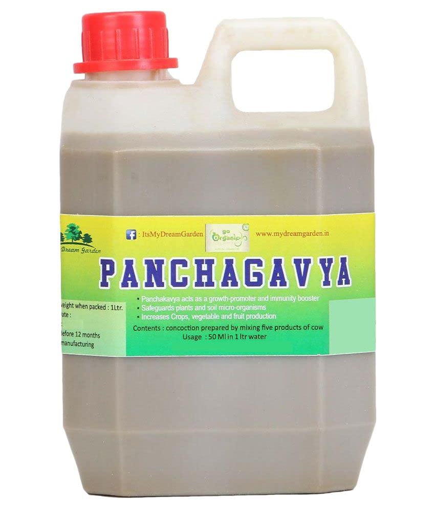 panchakavya organic ferdilizer 5ltr pack-home made panchakavya plant booster 5 ltr (B0B9KQZS9K) Amazon Price History, Amazon Price Tracker