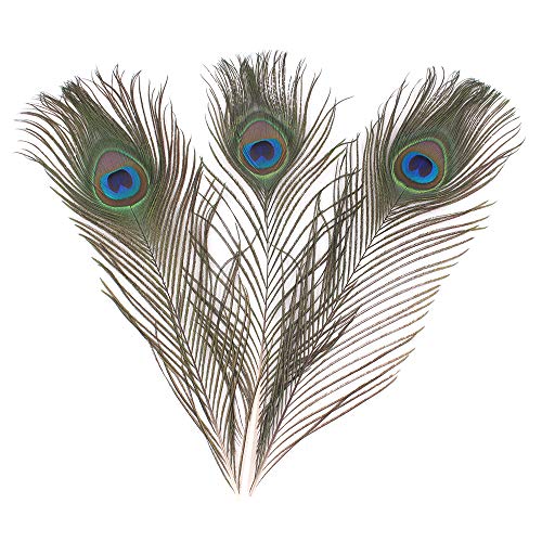 Featured Real Natural Peacock Feathers Bulk 10-12 Inches (25-30Cm) Great Decorations For Christmas Halloween Home Party Wedding Centerpieces (Natural 10Pcs) #TOP1
